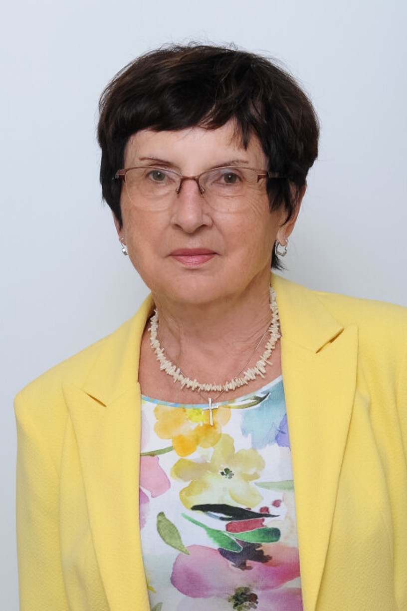 Pavla Holasová, matematika